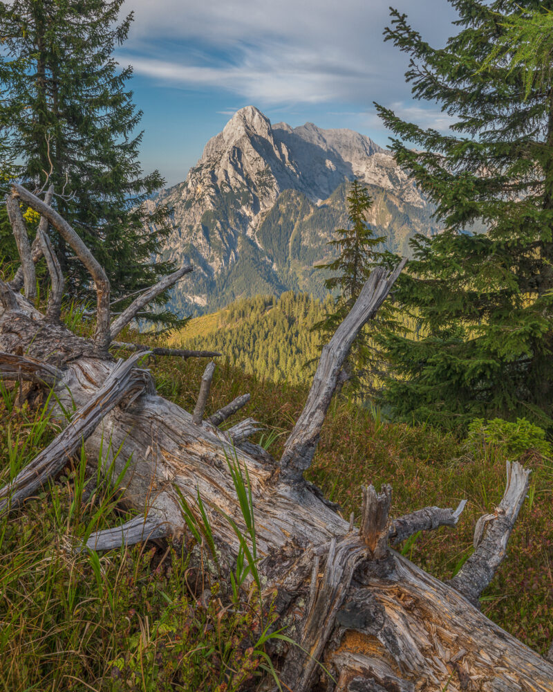 Nationalpark Gesäuse, Steiermark, Austria