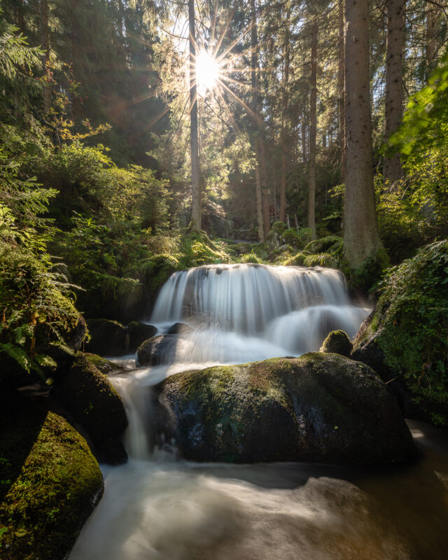 Wasserfall in einem Wald bei Gegenlicht. Lohnbachfall im Waldviertel, Niederösterreich