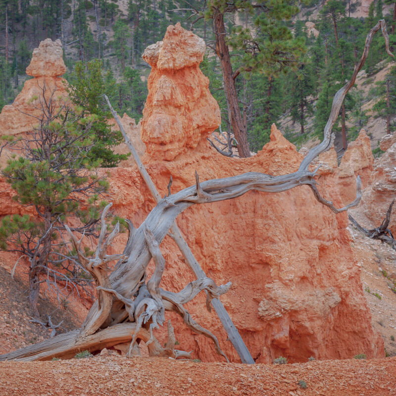 Viewpoints Bryce Canyon Nationalpark