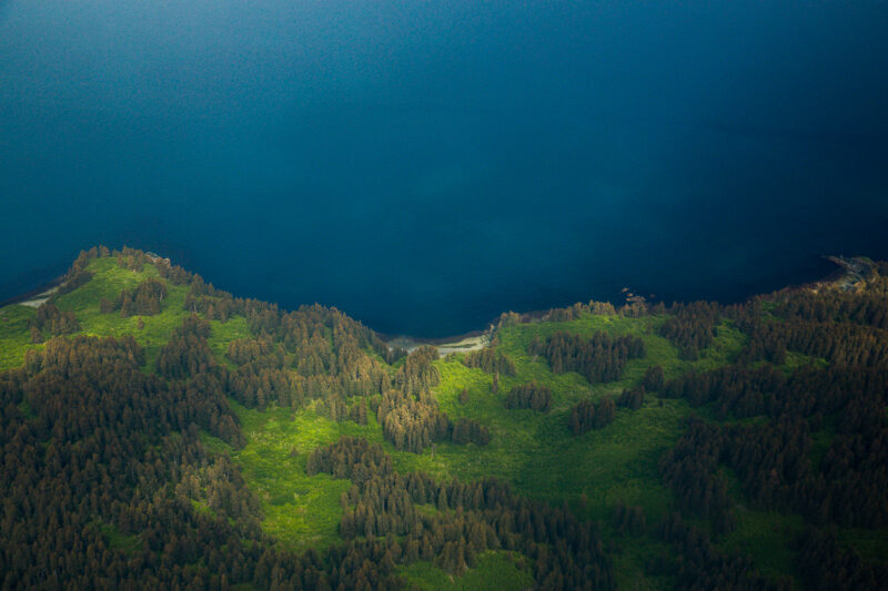 Cook Inlet, Kenai Peninsula, Alaska, USA