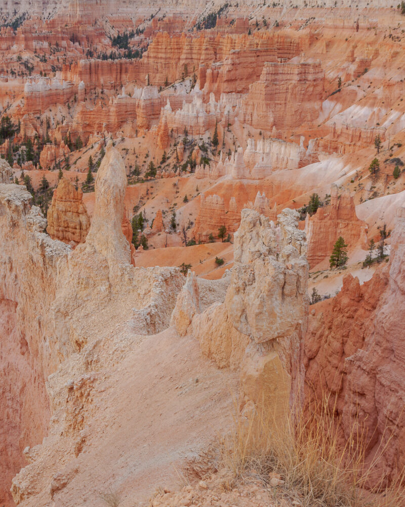 Bryce Canyon Nationalpark, USA