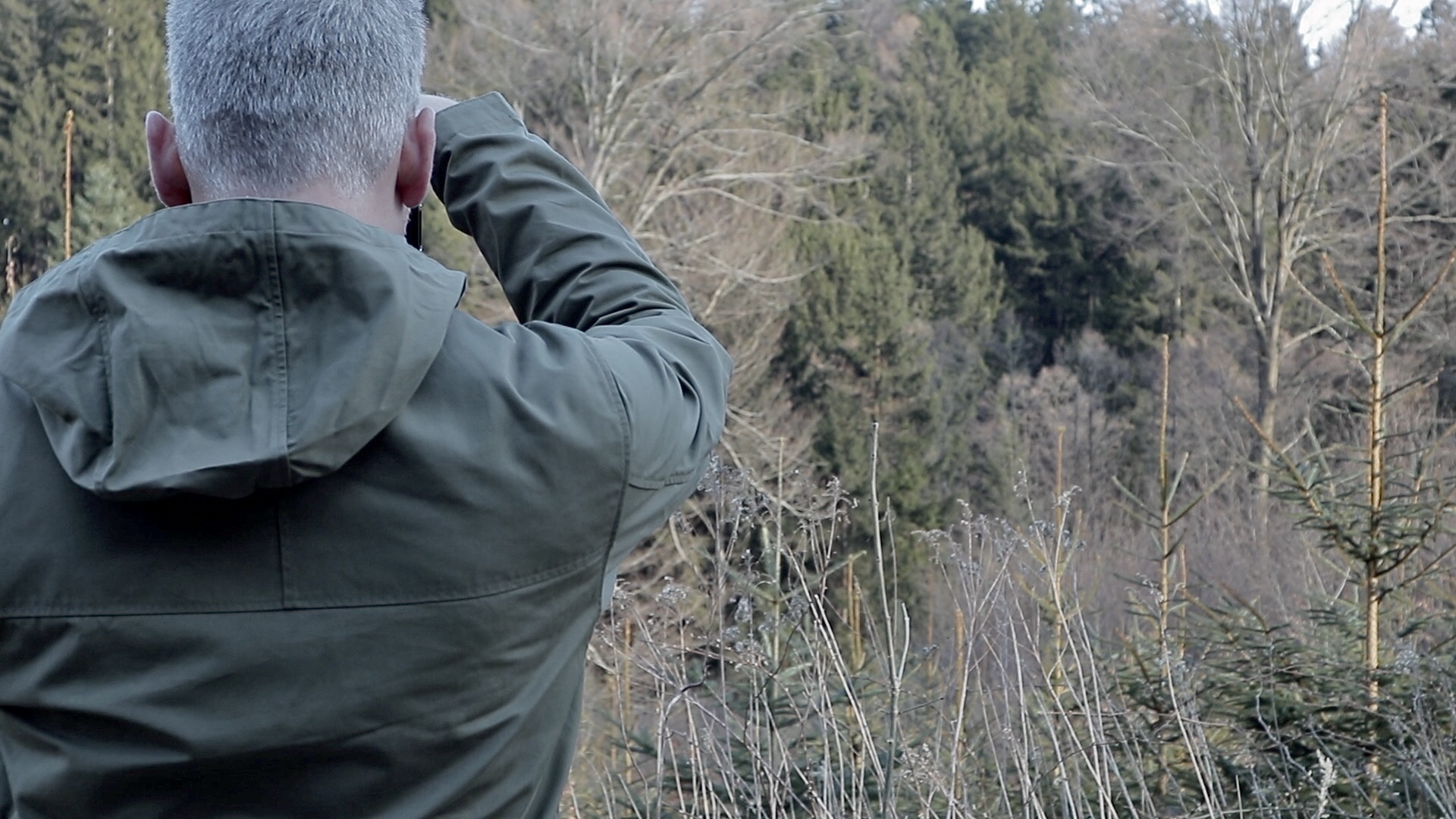 Wald am Nachmittag, fotografieren und Tee trinken