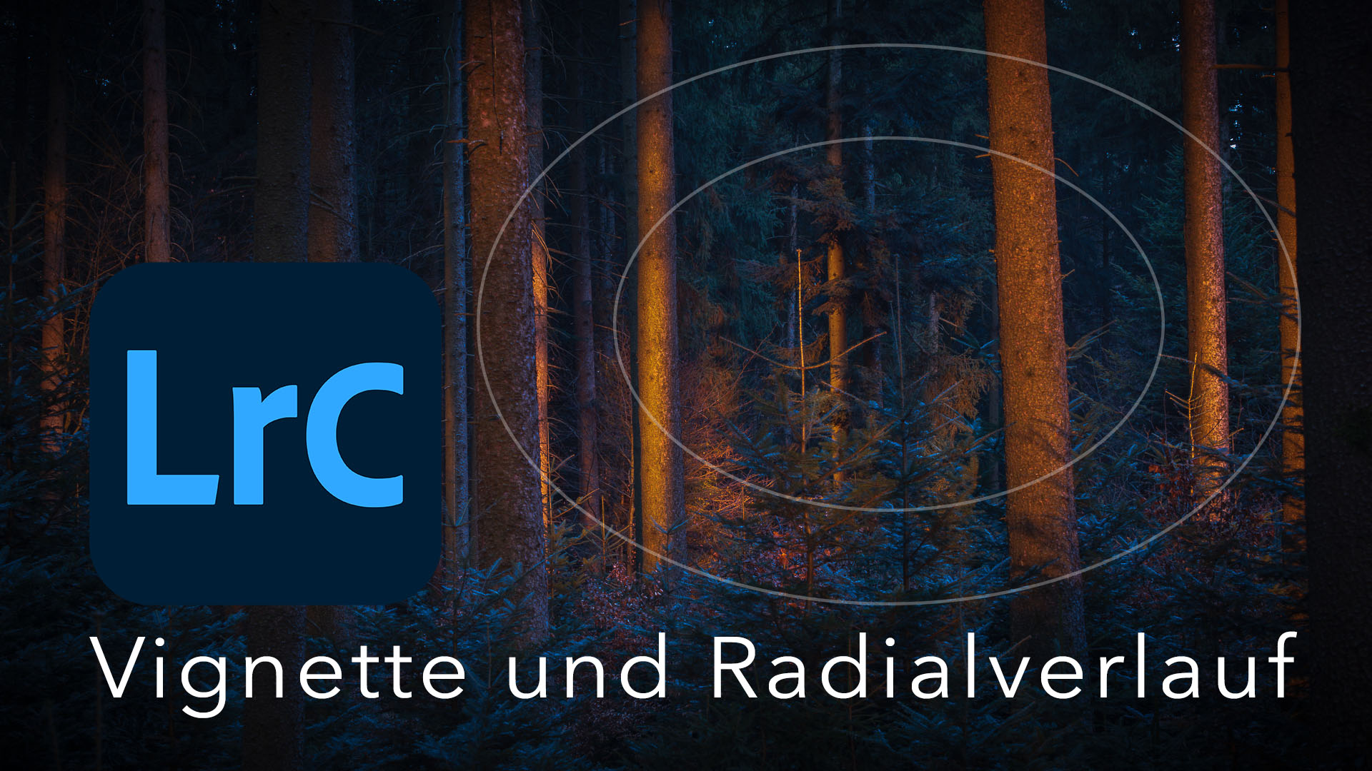 Vignette und Radialverlauf in Lightroom Classic