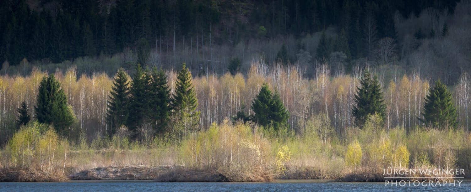 panoramasee, steiermark, österreich, landschaftsfotografie, naturfotografie, sonnenuntergang, wald