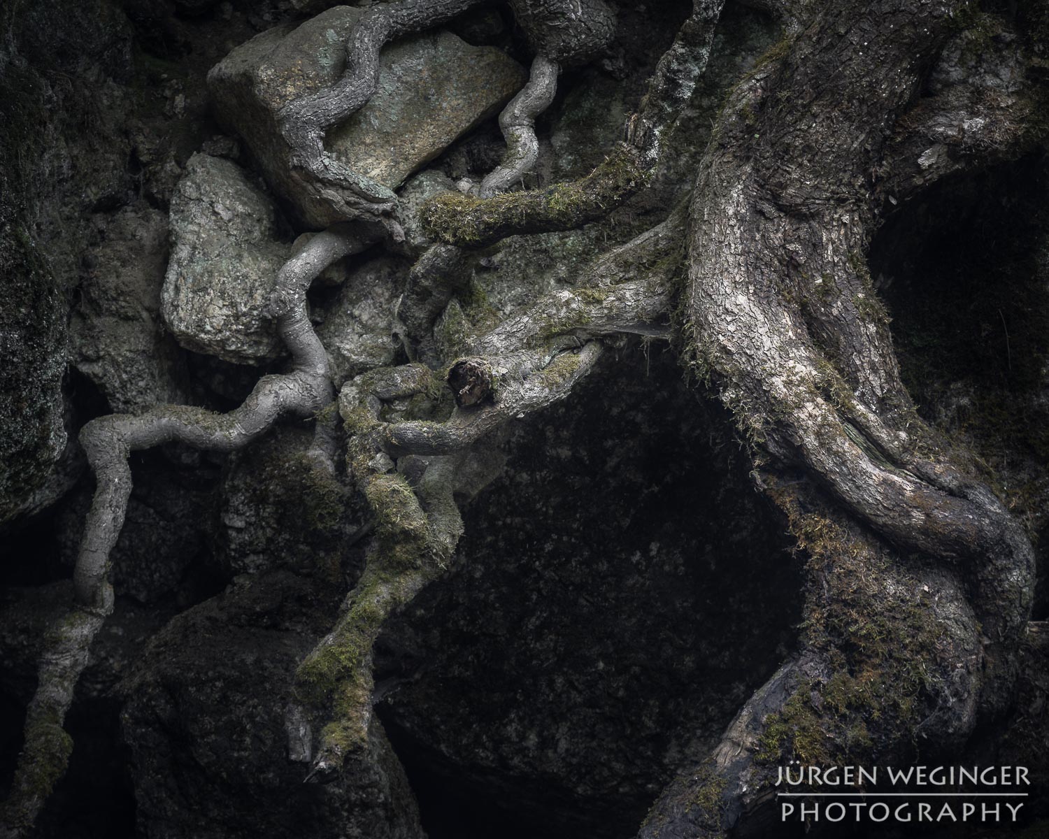 Kreativer Fotoworkshop in der Ysperklamm im Herbst, Niederösterreich. Fotografen bei der Arbeit an Wasserfällen, moosbewachsenen Felsen und idyllischen Landschaften.