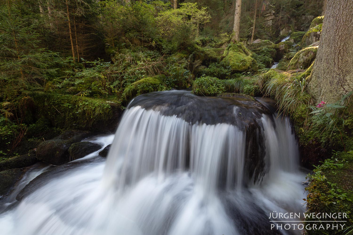 Wasserfall Donnerstag | Bilder von Wasserfällen