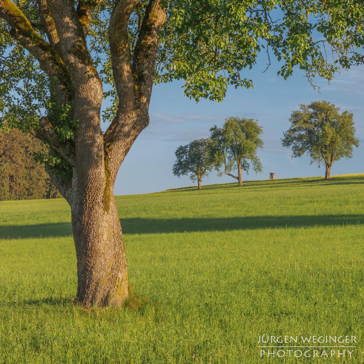 Purgstall, Mostviertel, Niederösterreich