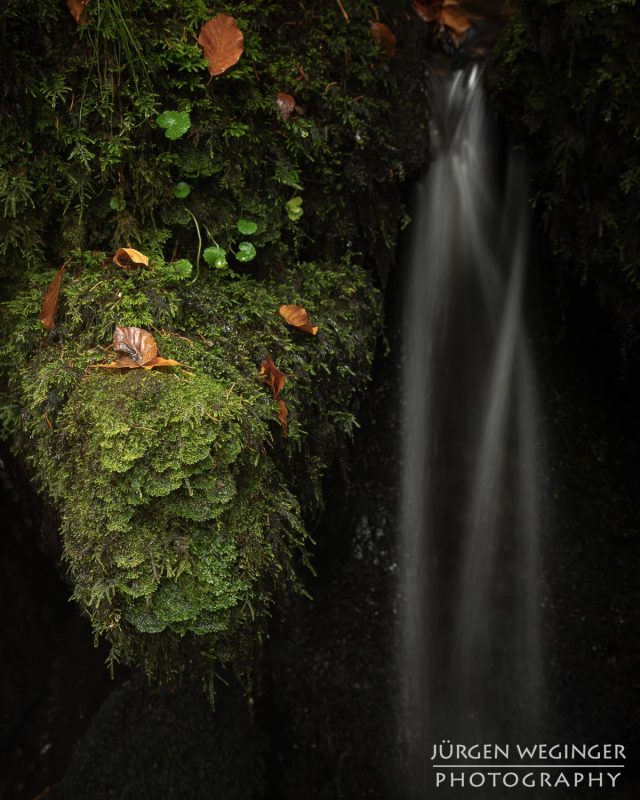 Kreativer Fotoworkshop in der Ysperklamm im Herbst, Niederösterreich. Fotografen bei der Arbeit an Wasserfällen, moosbewachsenen Felsen und idyllischen Landschaften.