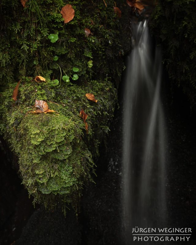 ysperklamm, niederösterreich, waldviertel, klamm, österreich, natur, landschaft, herbst