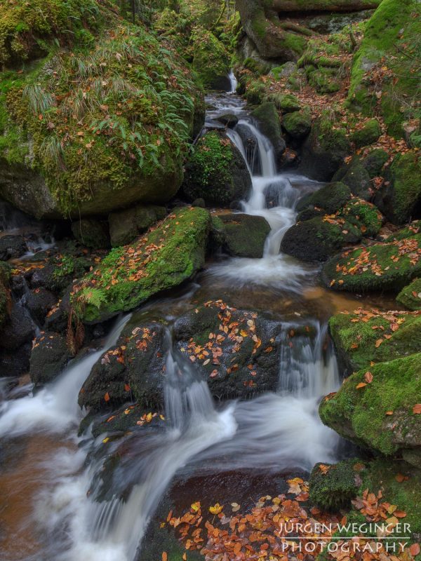 Kreativer Fotoworkshop in der Ysperklamm im Herbst, Niederösterreich. Fotografen bei der Arbeit an Wasserfällen, moosbewachsenen Felsen und idyllischen Landschaften.