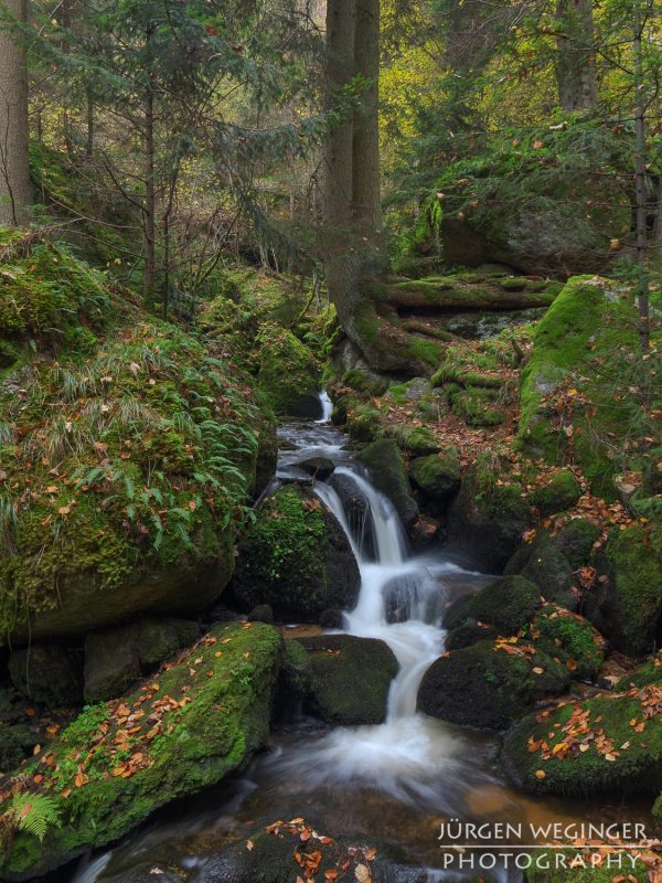 Kreativer Fotoworkshop in der Ysperklamm im Herbst, Niederösterreich. Fotografen bei der Arbeit an Wasserfällen, moosbewachsenen Felsen und idyllischen Landschaften.