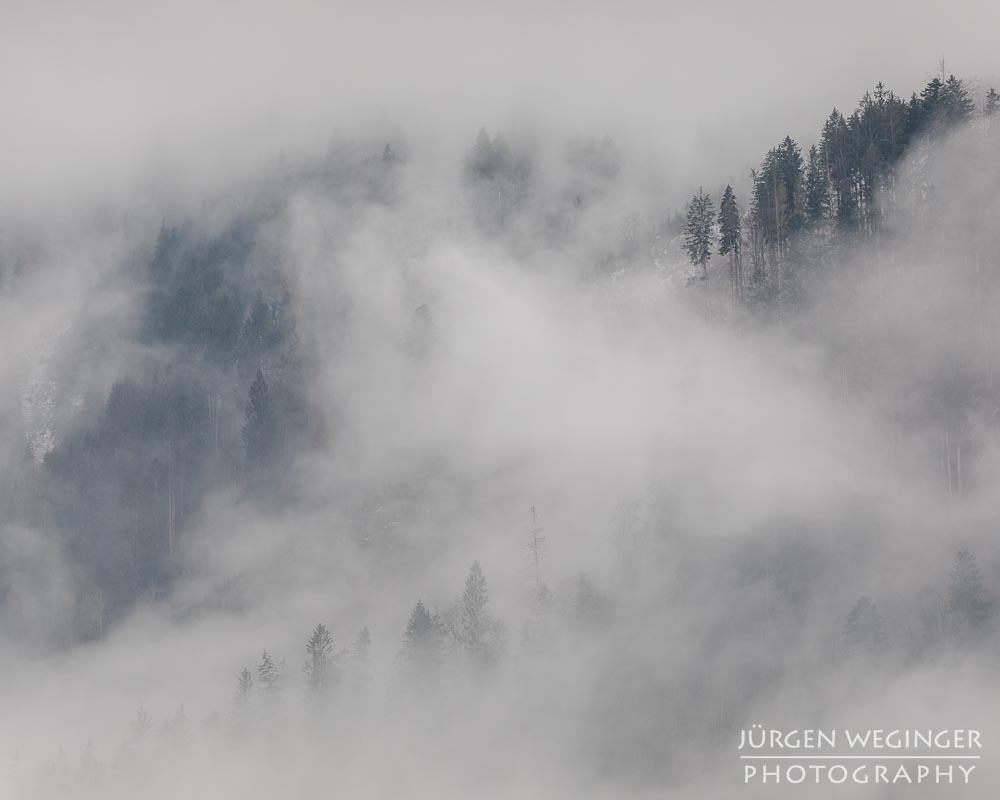 Ennstal, Steiermark, Landschaft, Natur, Wälder, Bäume, Nebel