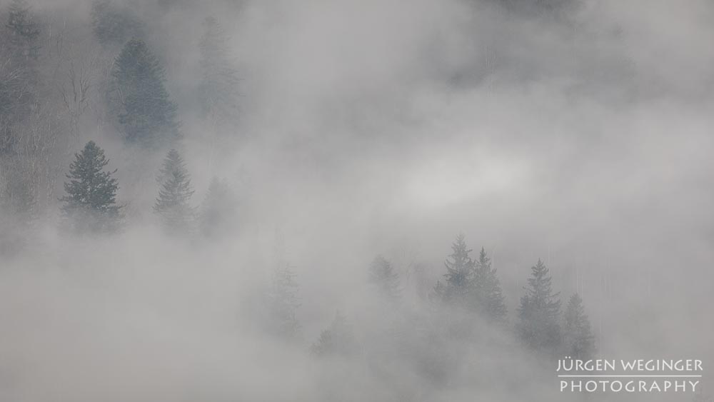 Ennstal, Steiermark, Landschaft, Natur, Wälder, Bäume, Nebel