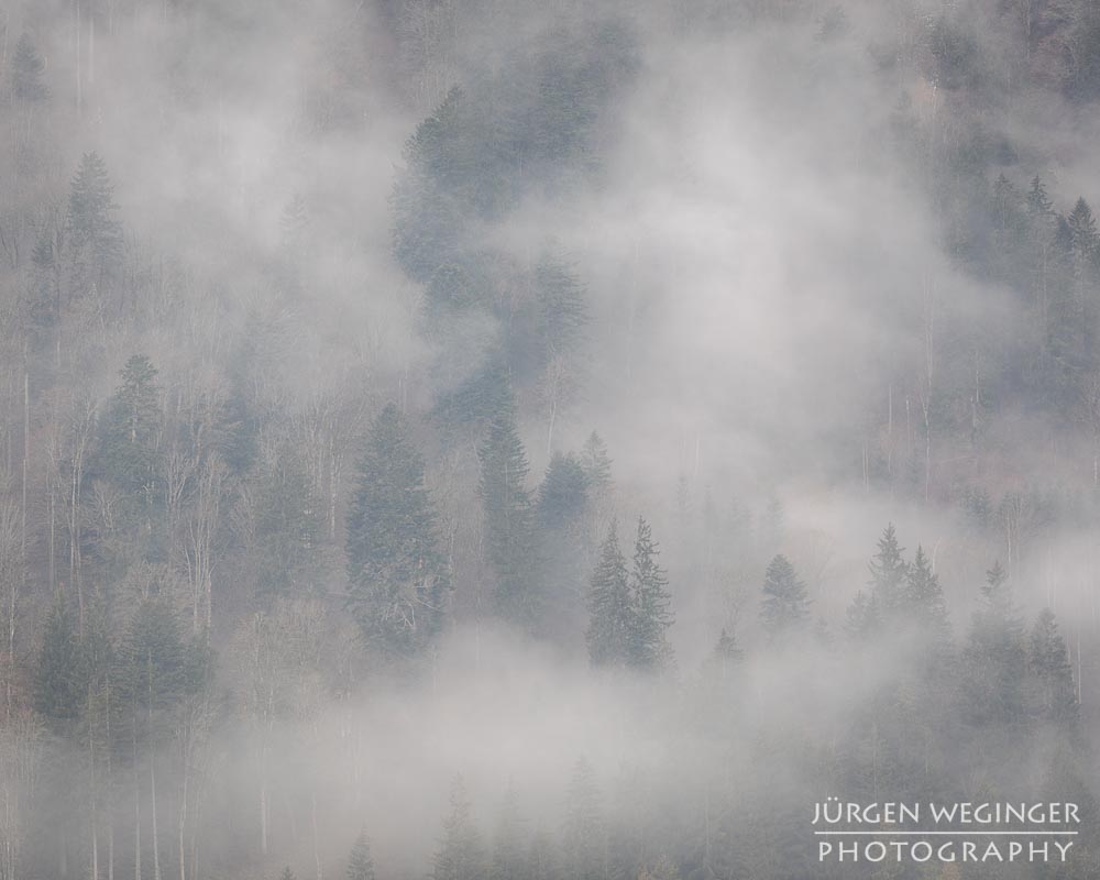 Ennstal, Steiermark, Landschaft, Natur, Wälder, Bäume, Nebel
