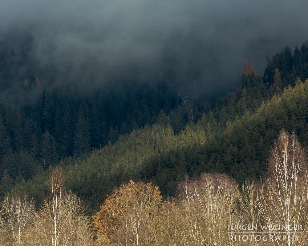 Ennstal, Steiermark, Landschaft, Natur, Bäume, Wälder