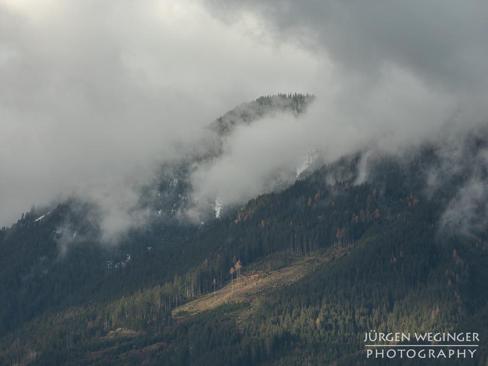 Ennstal, Steiermark, Landschaft, Natur, Wälder, Bäume, Nebel