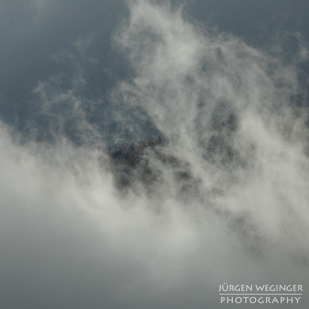 Ennstal, Steiermark, Landschaft, Natur, Wälder, Bäume, Nebel