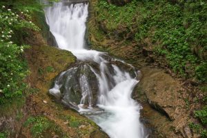 Waterfall, Trefflingfall, Naturepark Ötscher Tormäuer, Lower Austria, Austria