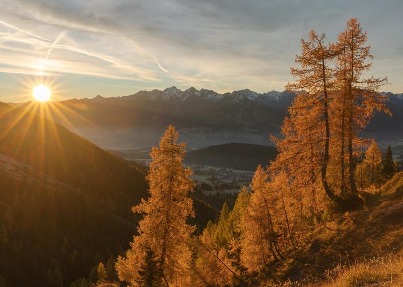 Herbst