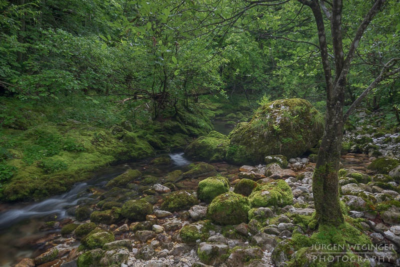 Zurück aus Slowenien | Triglav Nationalpark