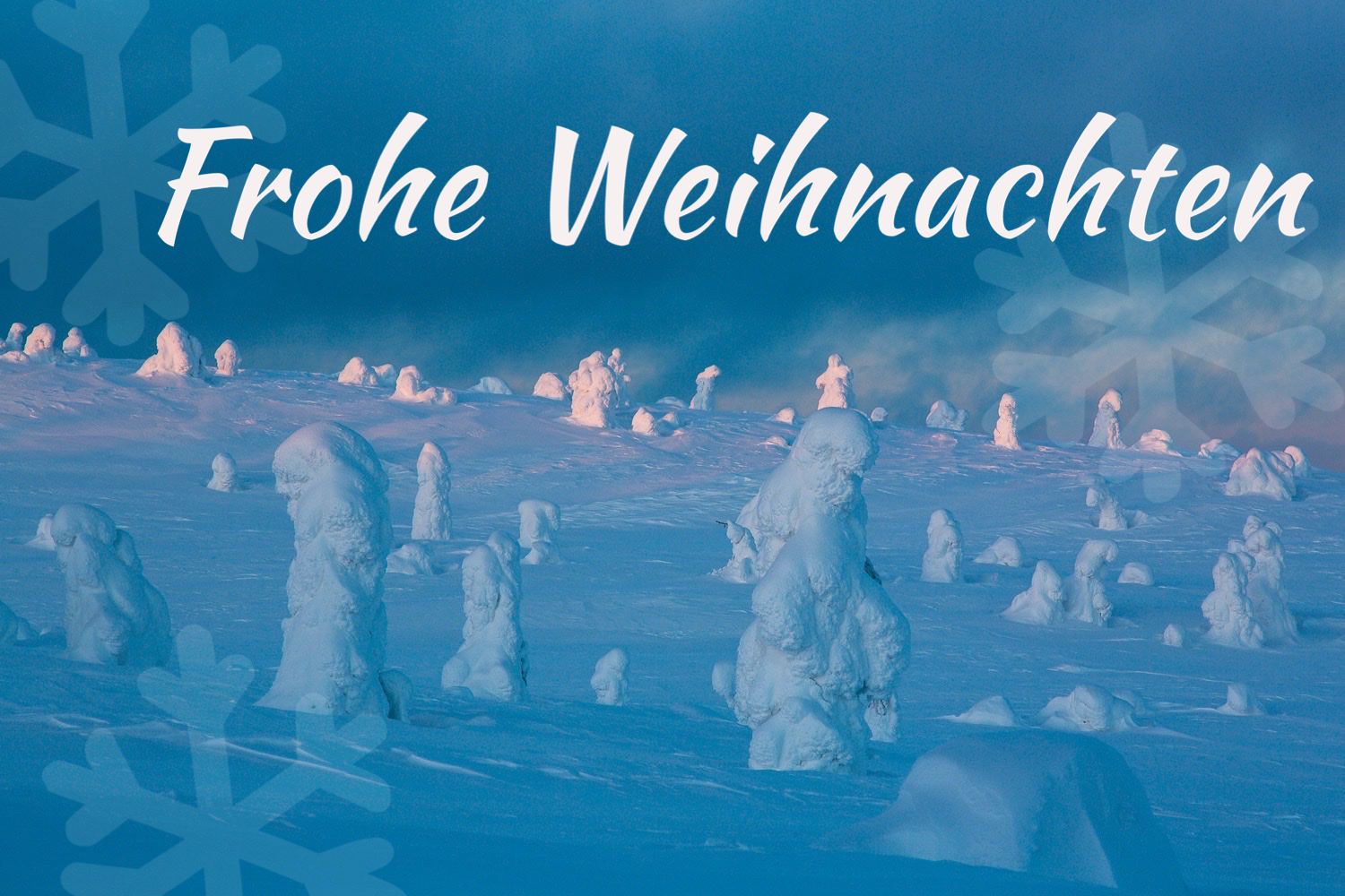 Ich wünsche allen ein frohes Weihnachtsfest