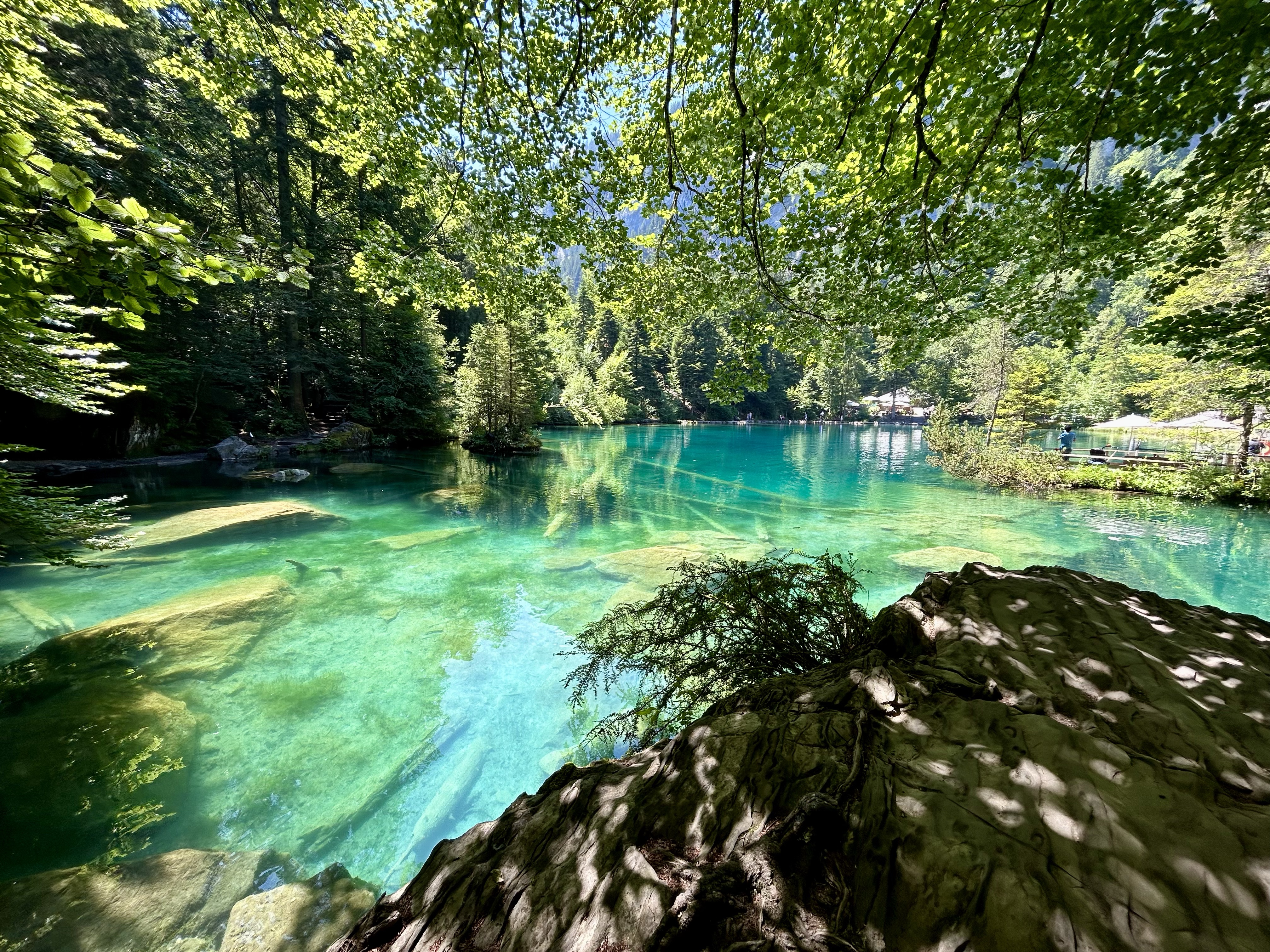 Postkarte aus der Schweiz