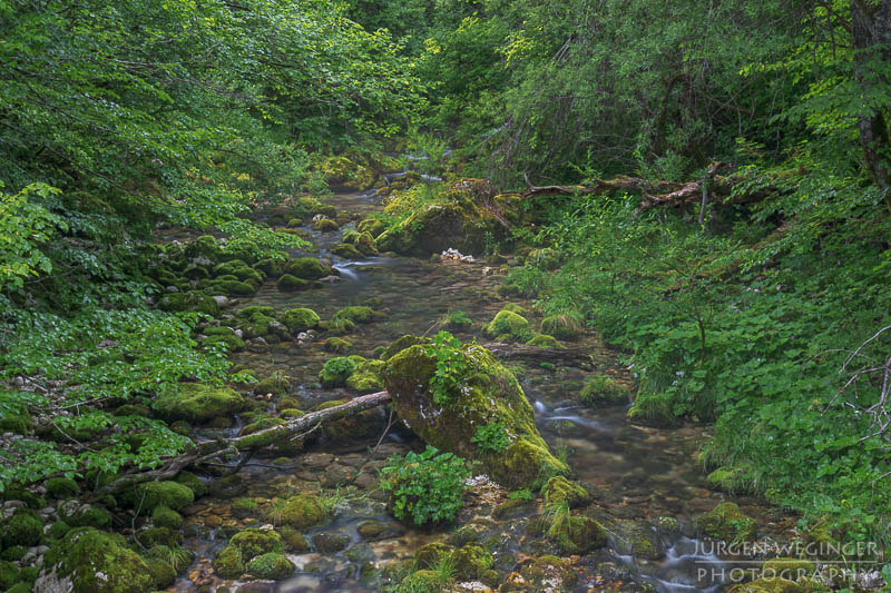 Slowenien, soca tal, Triglav, Nationalpark, Landschaft, Natur, Naturfotografie, Landschaftsfotografie, europa, slowenische Natur, naturspektakel, Wasserfluss, Naturschutzgebiet, Naturschönheit, Reisefotografie, Wasserdetails