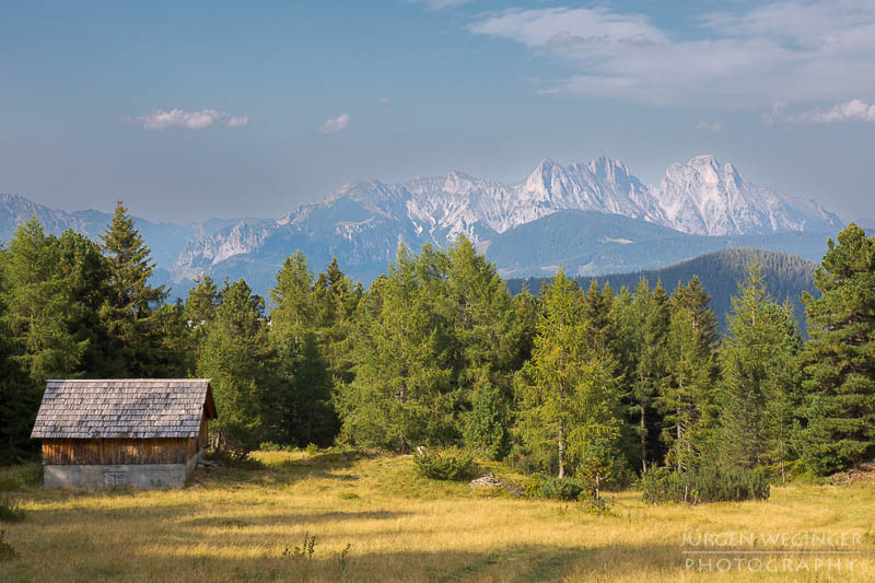 Hohentauern, Steiermark, österreich, Wälder, Waldgebiet, Naturschutzgebiet, edelrautehütte, scheibelseen, kleiner Scheibelsee, großer Scheibelsee, bäume, Riesenbäume, alte bäume, naurfotografie, Landschaftsfotografie