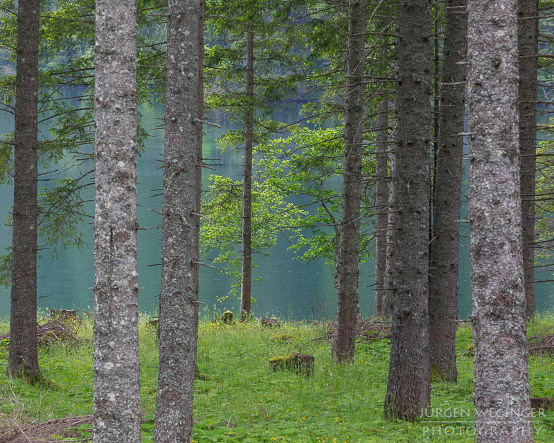 österreich, europa, Sommer, Natur, Naturlandschaften, Landschaften, reise, Impressionen, Naturpark sölktäler, Steiermark, Naturschutzgebiet, sölk, Erholungsgebiet, Waldgebiet, Wälder, bäume, See, schwarzensee