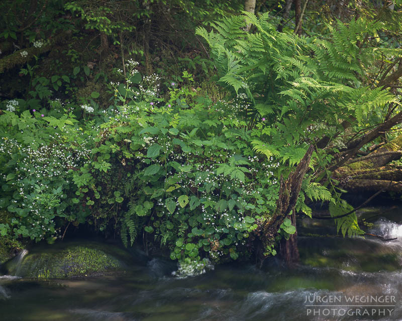 österreich, europa, Sommer, Natur, Naturlandschaften, Landschaften, reise, Impressionen, Gewässer, Spiegelung, abstrakt, bluntautal, salzburg, golling, hallein, flusslandschaft, fluss