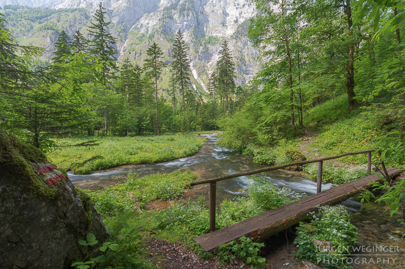 österreich, europa, Sommer, Natur, Naturlandschaften, Landschaften, reise, Impressionen, Gewässer, Spiegelung, abstrakt, bluntautal, salzburg, golling, hallein, brücke, pfad, tal, waldgebiet, wälder, fluss, bach, gewässer, wanderweg