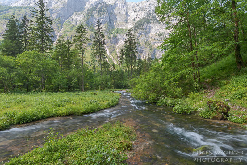 österreich, europa, Sommer, Natur, Naturlandschaften, Landschaften, reise, Impressionen, Gewässer, Spiegelung, abstrakt, bluntautal, salzburg, golling, hallein, tal, waldgebiet, wälder, fluss, bach, berge, Berglandschaft