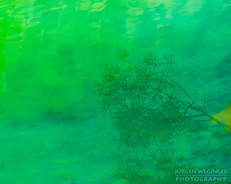 österreich, europa, Sommer, Natur, Naturlandschaften, Landschaften, reise, Impressionen, Gewässer, Spiegelung, abstrakt, bluntautal, salzburg, golling, hallein, baum, ast, muster