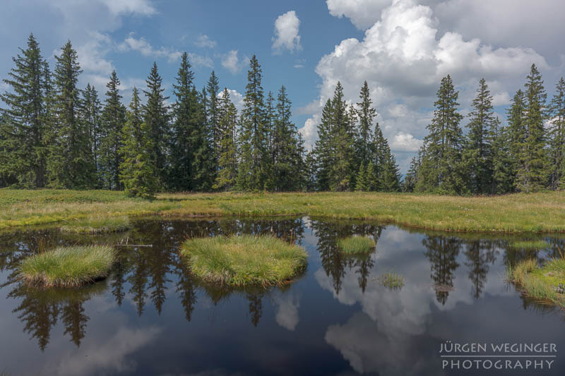 österreich, europa, Sommer, Natur, Naturlandschaften, Landschaften, reise, Impressionen, Teich, sumpf, Wälder, bäume, Rossbrand, Radstadt, salzburg, Spiegelung, wölken