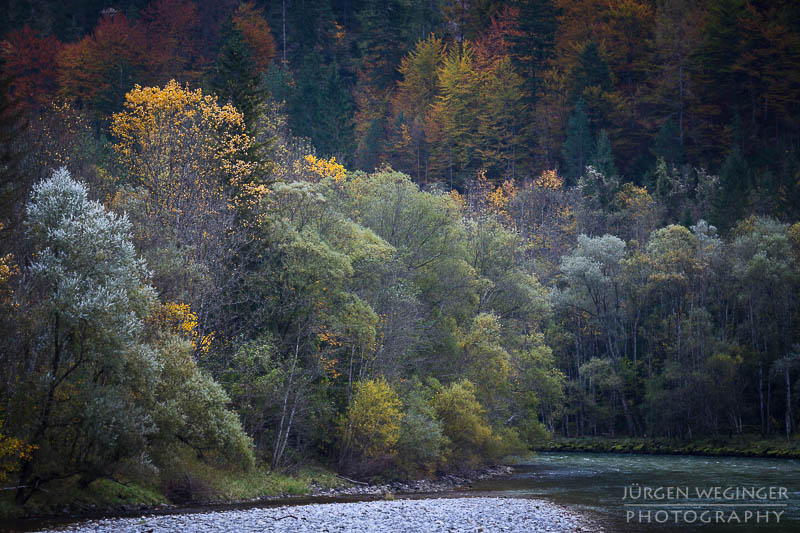 herbst, herbstlaub, herbstfarben, herbstliche idylle, naturerlebnis, natur im herbst, natur, landschaft, naturlandschaft, herbstlandschaft, Nationalpark Gesäuse, waldebiet, waldlandschaft, wälder, steiermark, österreich