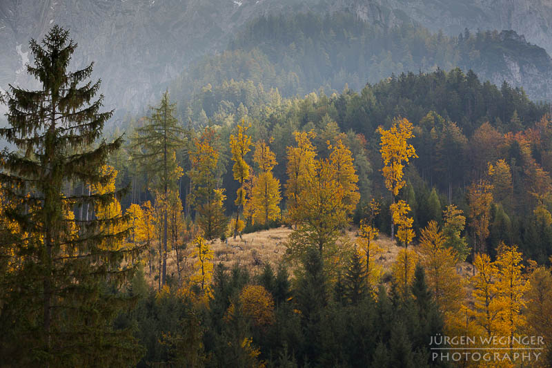 herbst, herbstlaub, herbstfarben, herbstliche idylle, naturerlebnis, natur im herbst, natur, landschaft, naturlandschaft, herbstlandschaft, Nationalpark Gesäuse, waldebiet, waldlandschaft, wälder, steiermark, österreich