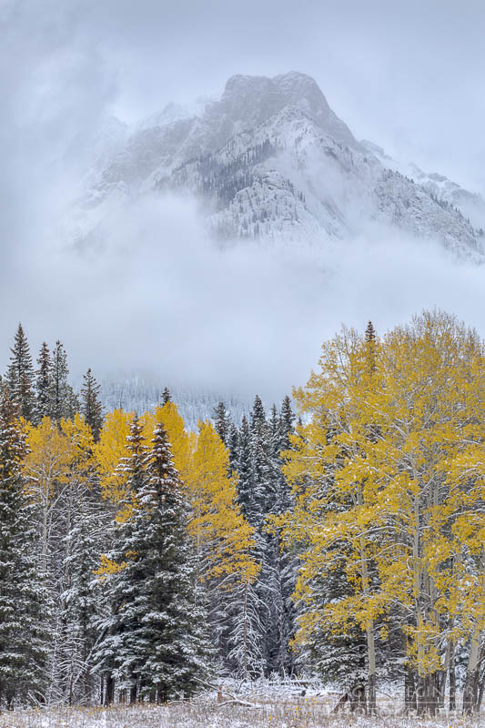 herbst, herbstlaub, herbstfarben, herbstliche idylle, naturerlebnis, natur im herbst, natur, landschaft, naturlandschaft, herbstlandschaft, berge, waldgebiet, waldlandschaft, banff nationalpark, kanada, british columbia, bow valley parkway