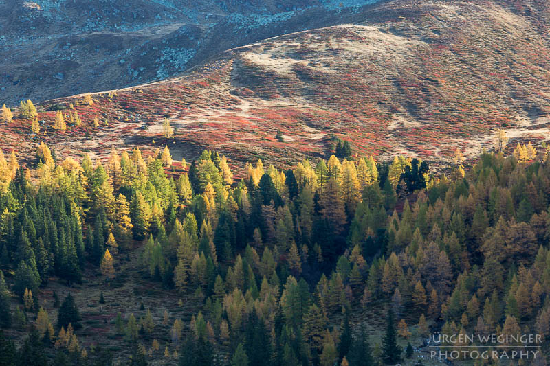 herbst, herbstlaub, herbstfarben, herbstliche idylle, naturerlebnis, natur im herbst, natur, landschaft, naturlandschaft, herbstlandschaft, berge, waldgebiet, waldlandschaft, rauris, nationalpark, hohe tauern, salzburg, österreich