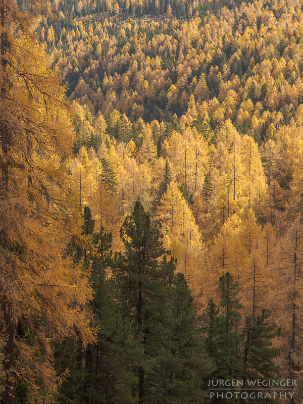 herbst, herbstlaub, herbstfarben, herbstliche idylle, naturerlebnis, natur im herbst, natur, landschaft, naturlandschaft, herbstlandschaft, stoderzinken, steiermark