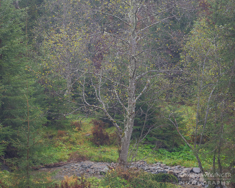 herbst, herbstlaub, herbstfarben, herbstliche idylle, naturerlebnis, natur im herbst, natur, landschaft, naturlandschaft, herbstlandschaft, lärchkaralm, steiermark