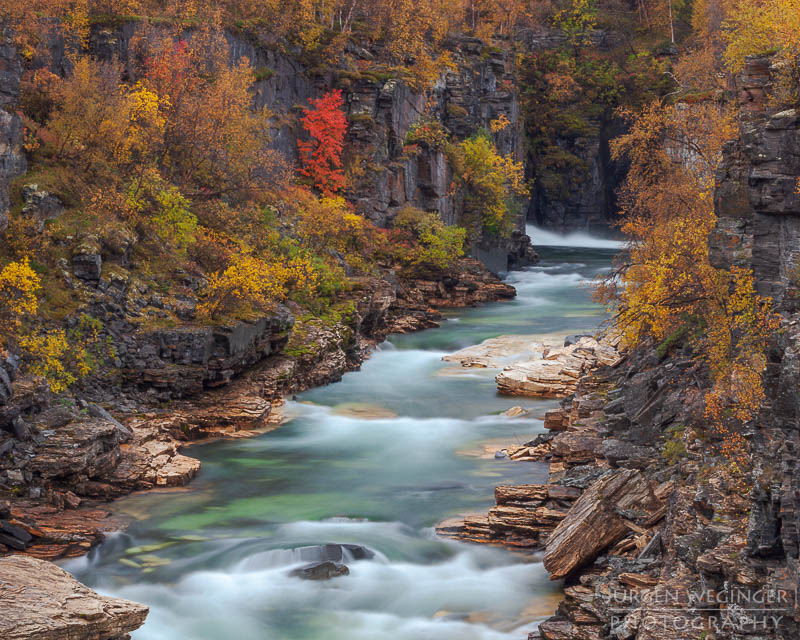 herbst, herbstlaub, herbstfarben, herbstliche idylle, naturerlebnis, natur im herbst, natur, landschaft, naturlandschaft, herbstlandschaft, abisko nationalpark, Schweden, skandinavien, lappland, abisko canyon, fluss, rot, grün