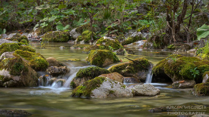 herbstlandschaft, ötschergräben, naturpark ötscher tormäuer, österreich, mostviertel, goldener herbst, laubwald, naturfotografie, landschaftsfotografie, flusslandschaft, österreichische natur, fotografie im herbst, niederösterreich, naturschönheiten, moos