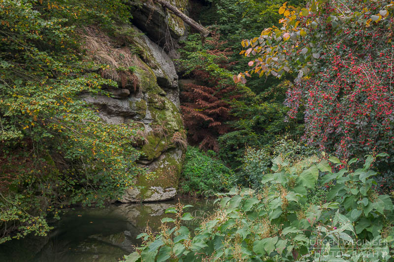 Herbstpracht, felsige Ufer, goldene Blätter, wasserfallidylle, natürliche Schönheit, herbstliche Impressionen klare Flusswasser, Herbstzauber, malerischer herbst, faszinierende landschaft, Flussromantik, felsige Schlucht, Oberösterreich, Klamschlucht