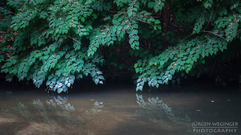 Herbstpracht, felsige Ufer, goldene Blätter, wasserfallidylle, natürliche Schönheit, herbstliche Impressionen klare Flusswasser, Herbstzauber, malerischer herbst, faszinierende landschaft, Flussromantik, felsige Schlucht, Oberösterreich, Klamschlucht