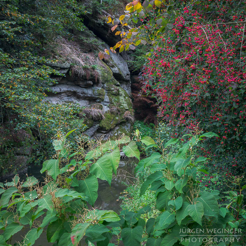 Herbstpracht, felsige Ufer, goldene Blätter, wasserfallidylle, natürliche Schönheit, herbstliche Impressionen klare Flusswasser, Herbstzauber, malerischer herbst, faszinierende landschaft, Flussromantik, felsige Schlucht, Oberösterreich, Klamschlucht