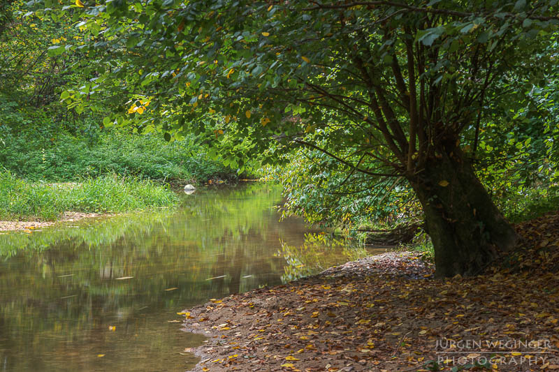 Herbstpracht, felsige Ufer, goldene Blätter, wasserfallidylle, natürliche Schönheit, herbstliche Impressionen klare Flusswasser, Herbstzauber, malerischer herbst, faszinierende landschaft, Flussromantik, felsige Schlucht, Oberösterreich, Klamschlucht