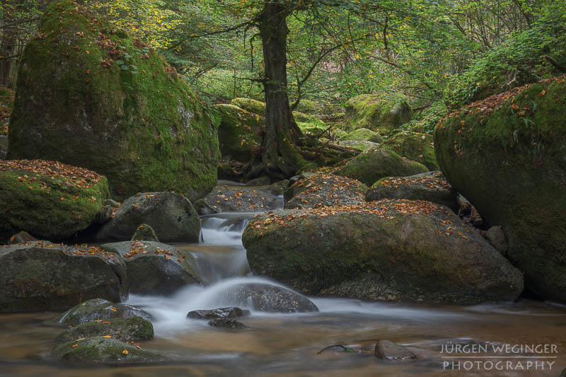 Herbstpracht, felsige Ufer, goldene Blätter, wasserfallidylle, natürliche Schönheit, herbstliche Impressionen klare Flusswasser, Herbstzauber, malerischer herbst, faszinierende landschaft, Flussromantik, felsige Schlucht, Oberösterreich, Klamschlucht