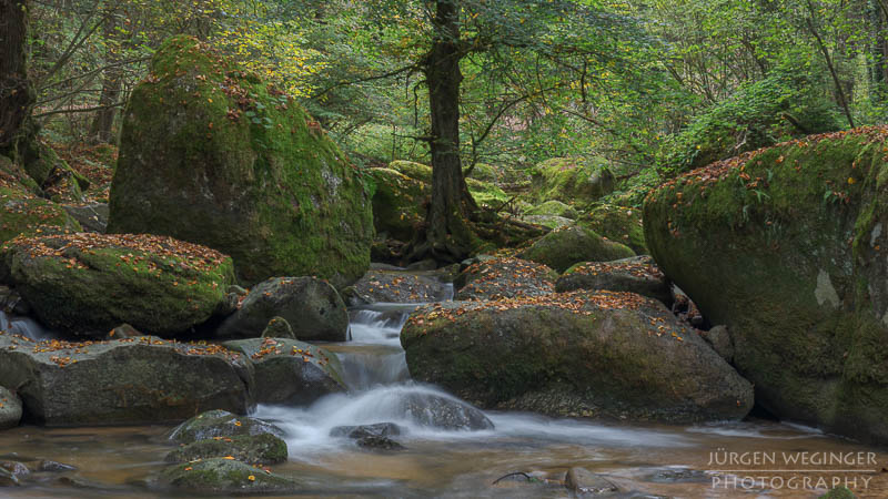 Herbstpracht, felsige Ufer, goldene Blätter, wasserfallidylle, natürliche Schönheit, herbstliche Impressionen klare Flusswasser, Herbstzauber, malerischer herbst, faszinierende landschaft, Flussromantik, felsige Schlucht, Oberösterreich, Klamschlucht