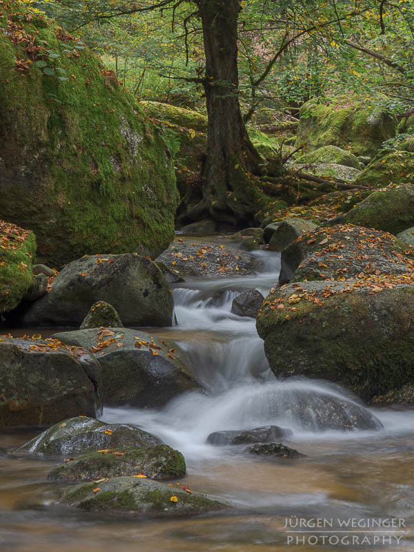 Herbstpracht, felsige Ufer, goldene Blätter, wasserfallidylle, natürliche Schönheit, herbstliche Impressionen klare Flusswasser, Herbstzauber, malerischer herbst, faszinierende landschaft, Flussromantik, felsige Schlucht, Oberösterreich, Klamschlucht