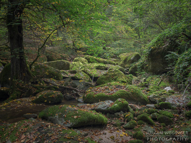 Herbstpracht, felsige Ufer, goldene Blätter, wasserfallidylle, natürliche Schönheit, herbstliche Impressionen klare Flusswasser, Herbstzauber, malerischer herbst, faszinierende landschaft, Flussromantik, felsige Schlucht, Oberösterreich, Klamschlucht